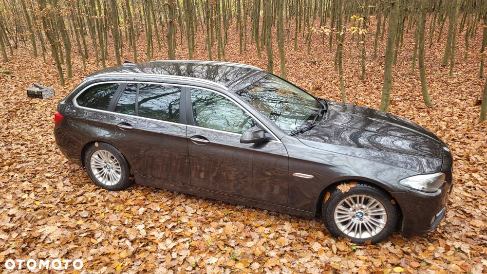 BMW Seria 5 520d - 13