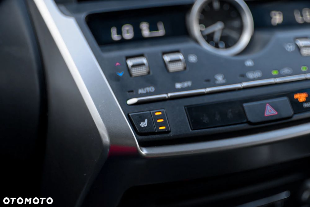 Lexus NX - 17