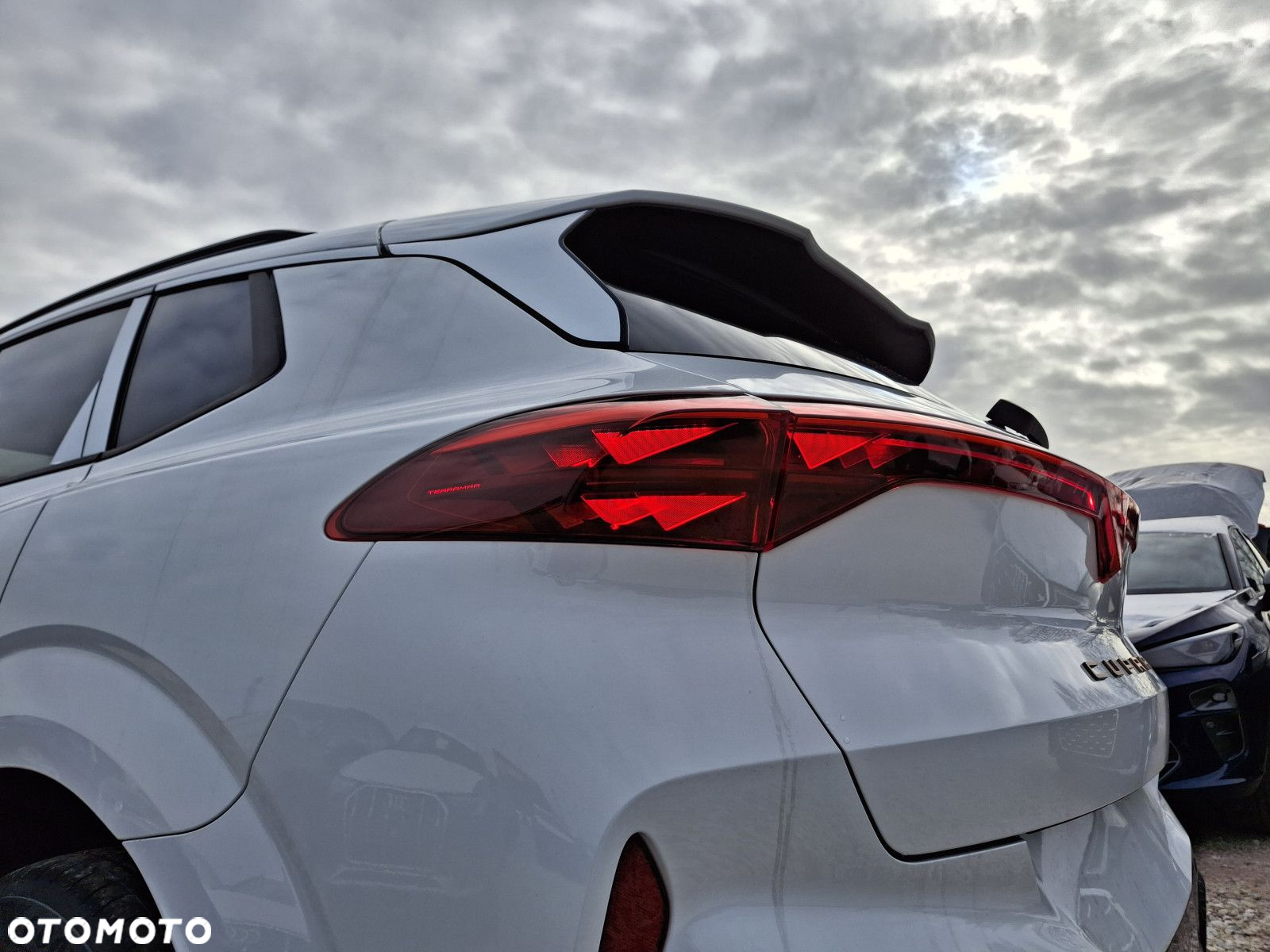 Cupra Terramar - 8