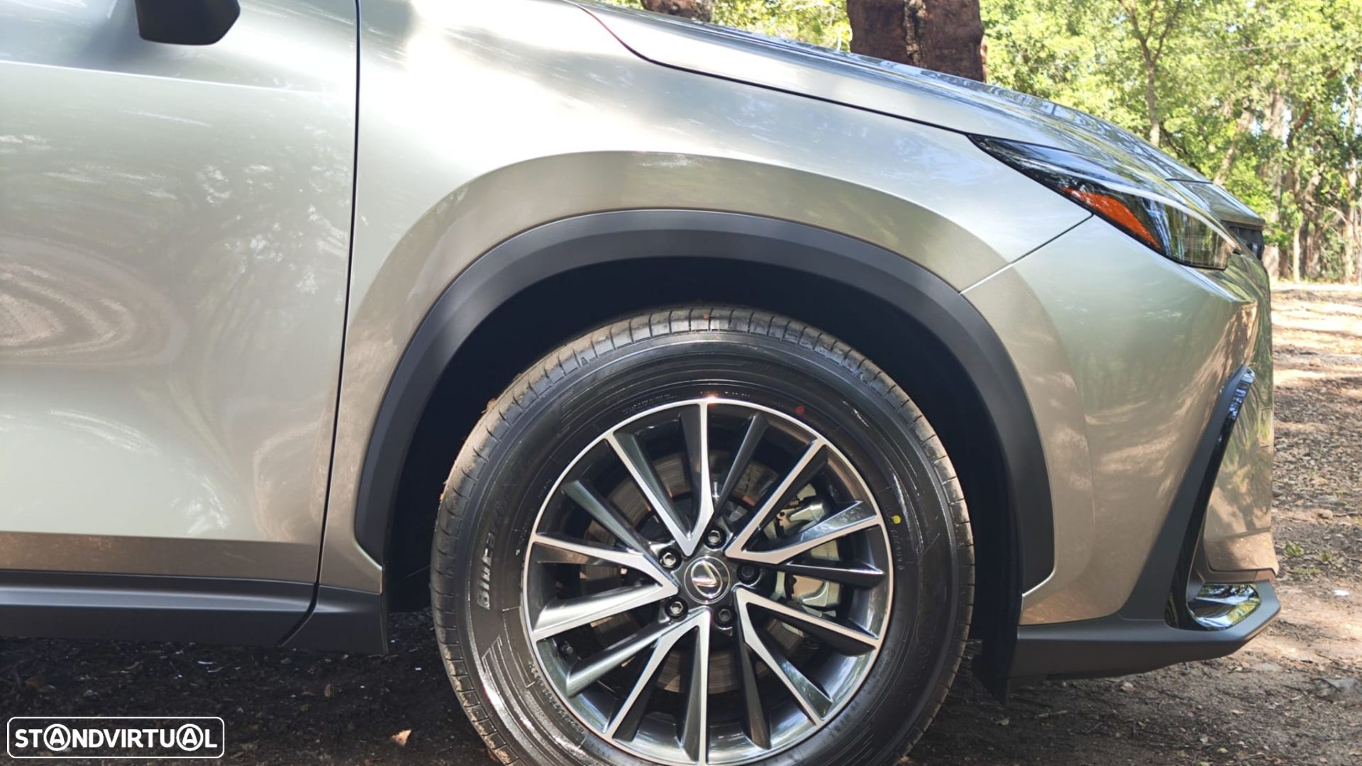 Lexus NX 450h+ Executive - 24