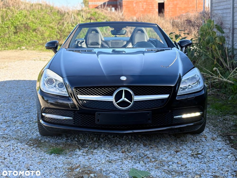 Mercedes-Benz SLK - 24