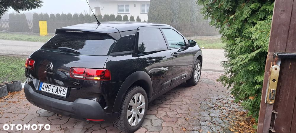 Citroën C4 Cactus - 10