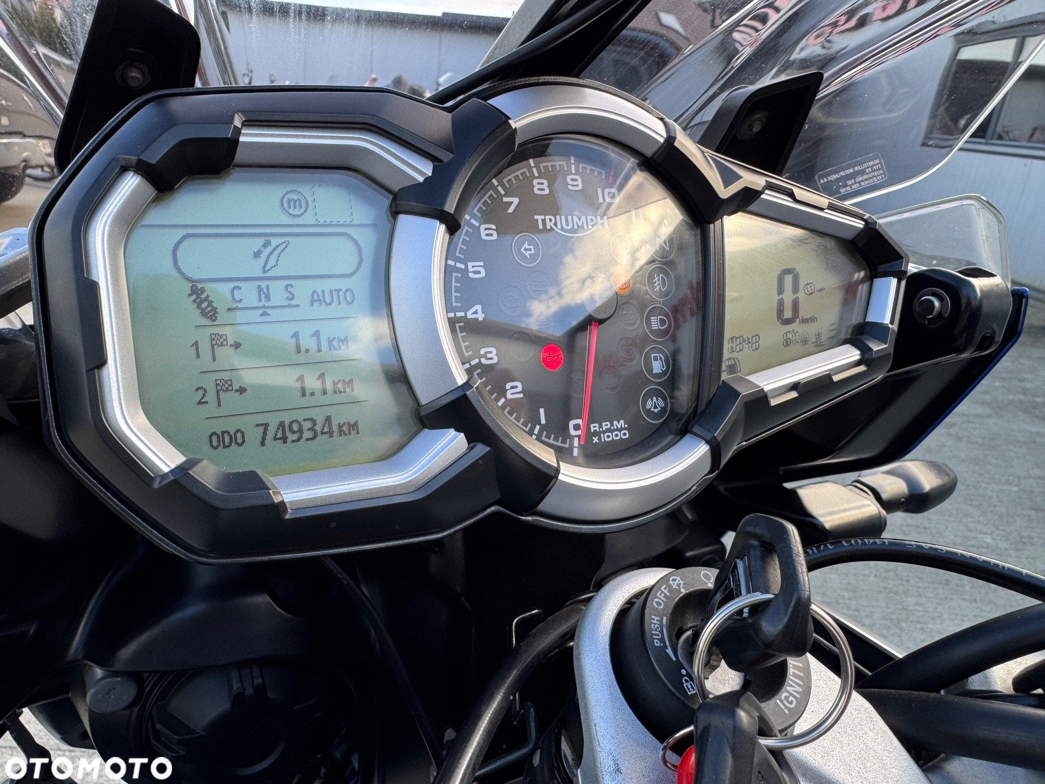 Triumph Tiger - 36