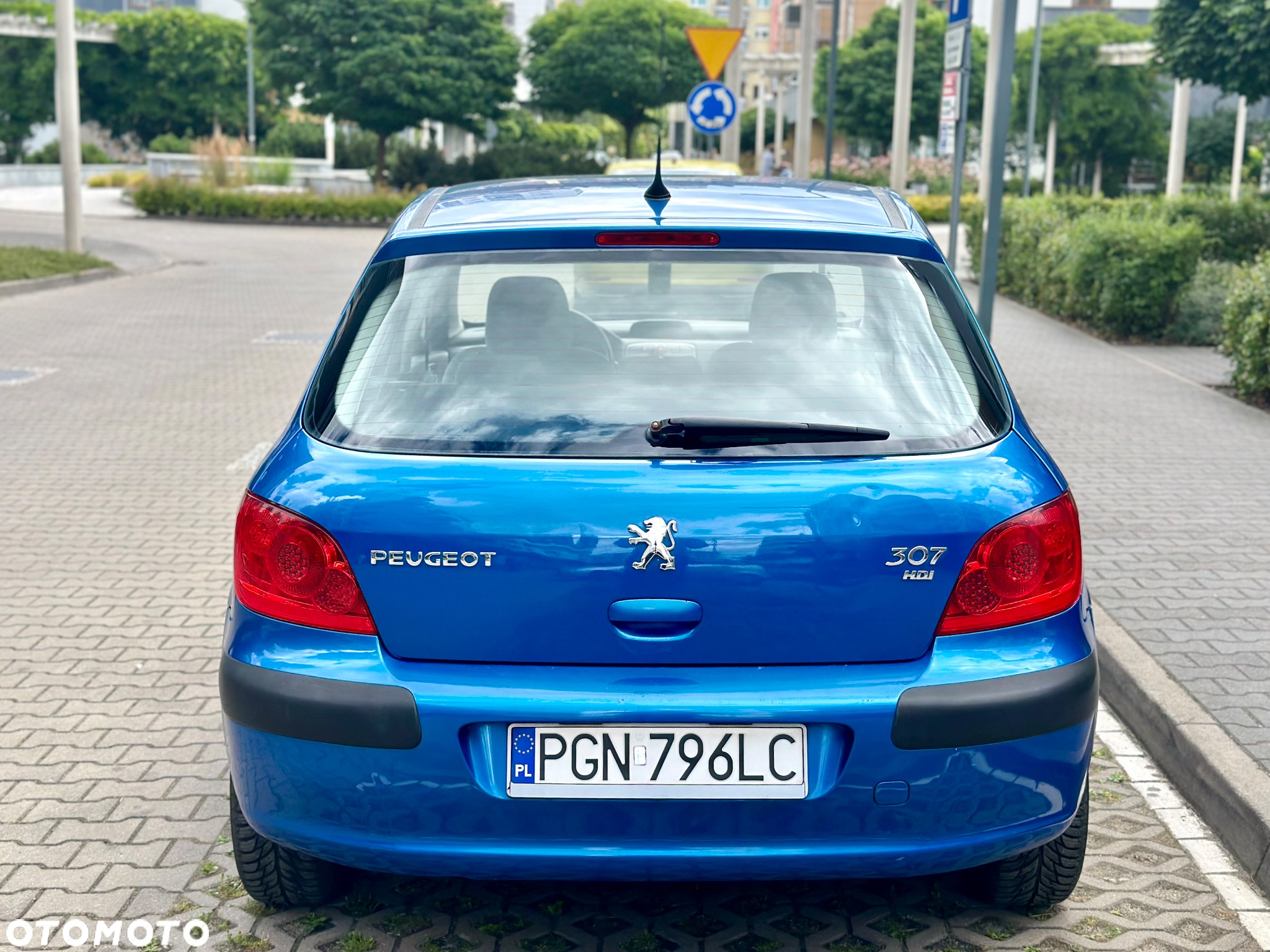 Peugeot 307 1.6 - 12