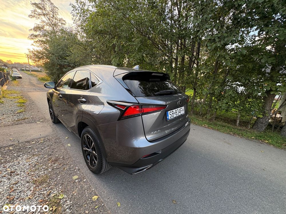 Lexus NX - 6