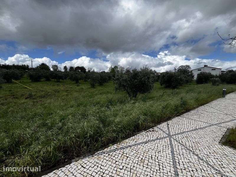 Lotes de Terreno para construção - Grande imagem: 5/12