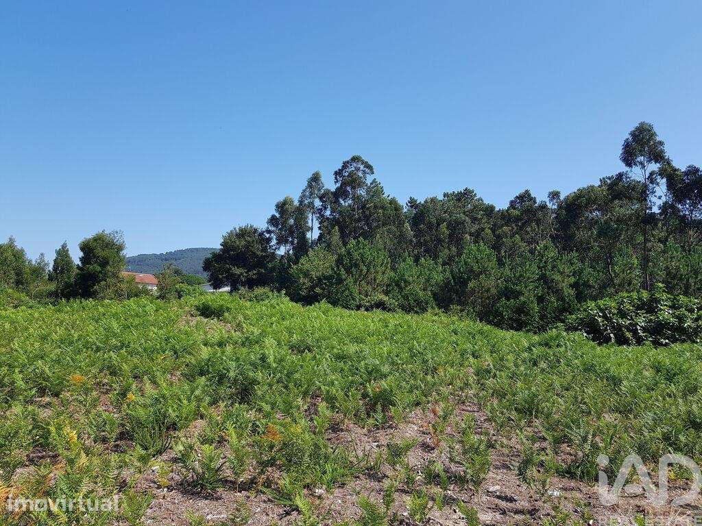 Terreno em Reboreda e Nogueira de 4514,00 m2 - Grande imagem: 2/7