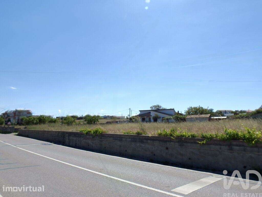 Terreno em Souto da Carpalhosa e Ortigosa - Grande imagem: 2/17