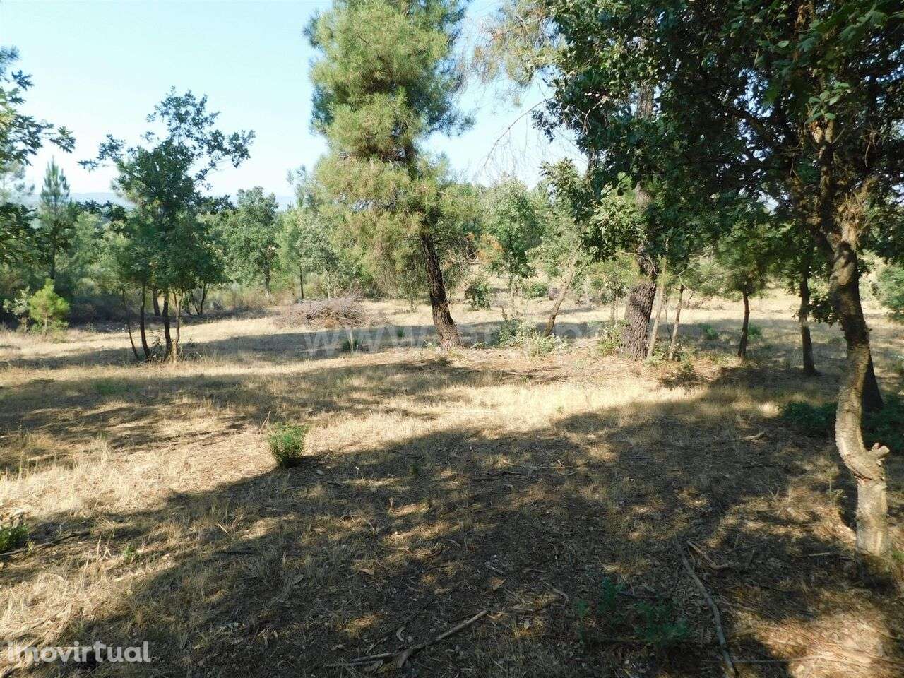 Terreno Rústico / Fundão, Capinha - Grande imagem: 2/3