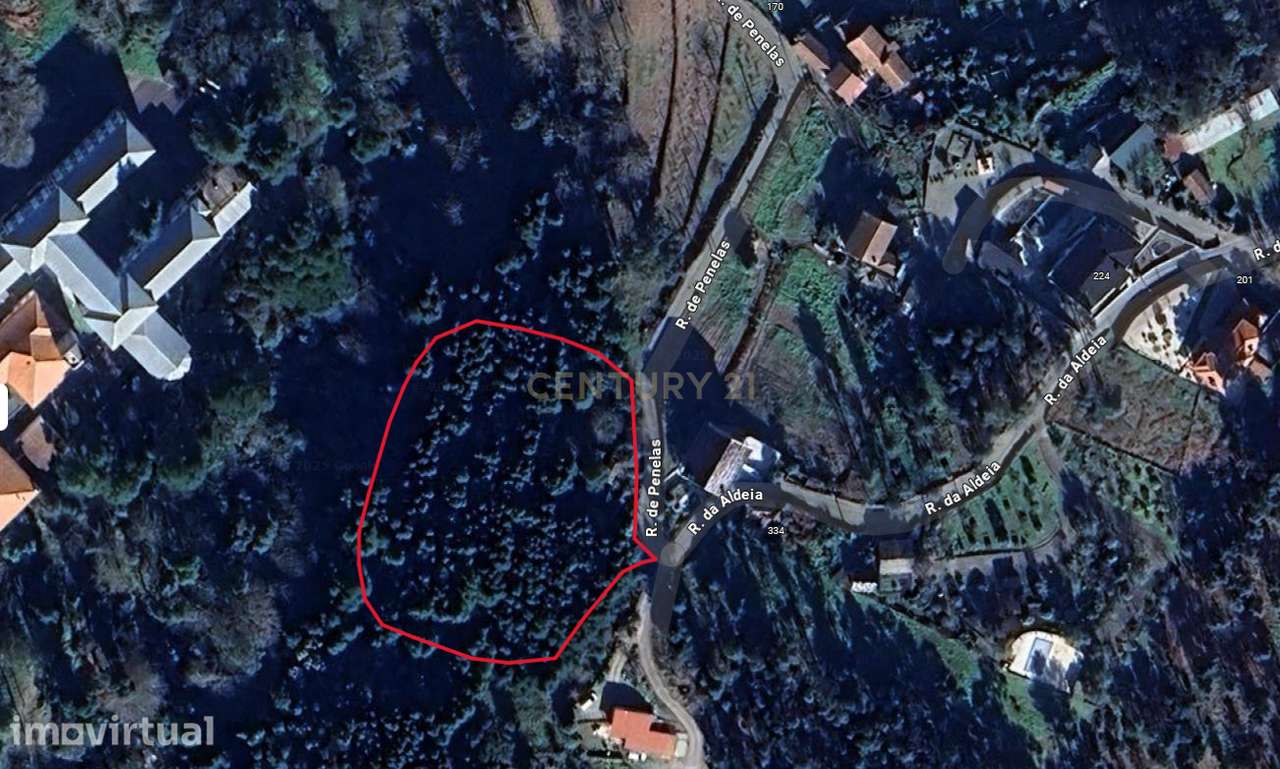 Quintinha em Ruínas com Grande Potencial em Penafiel – Termas de São V - Grande imagem: 2/44