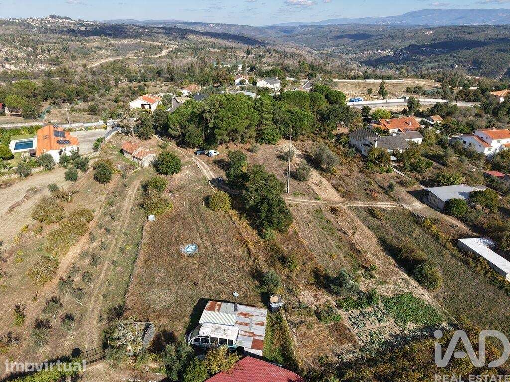Terreno Agrícola em Canas de Senhorim - Grande imagem: 4/10