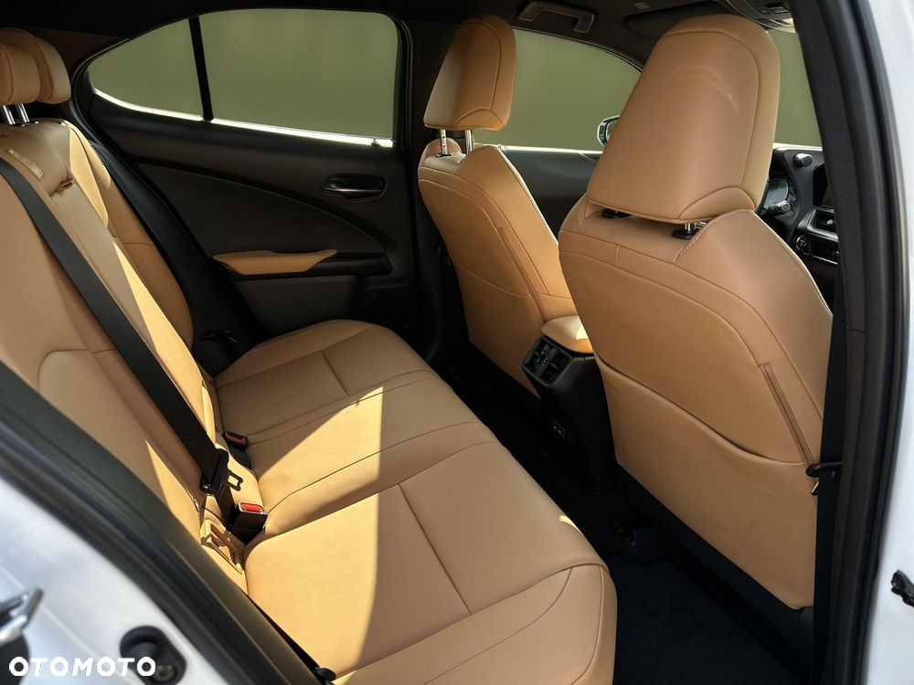 Lexus UX 250h GPF F Sport Design 2WD - 11