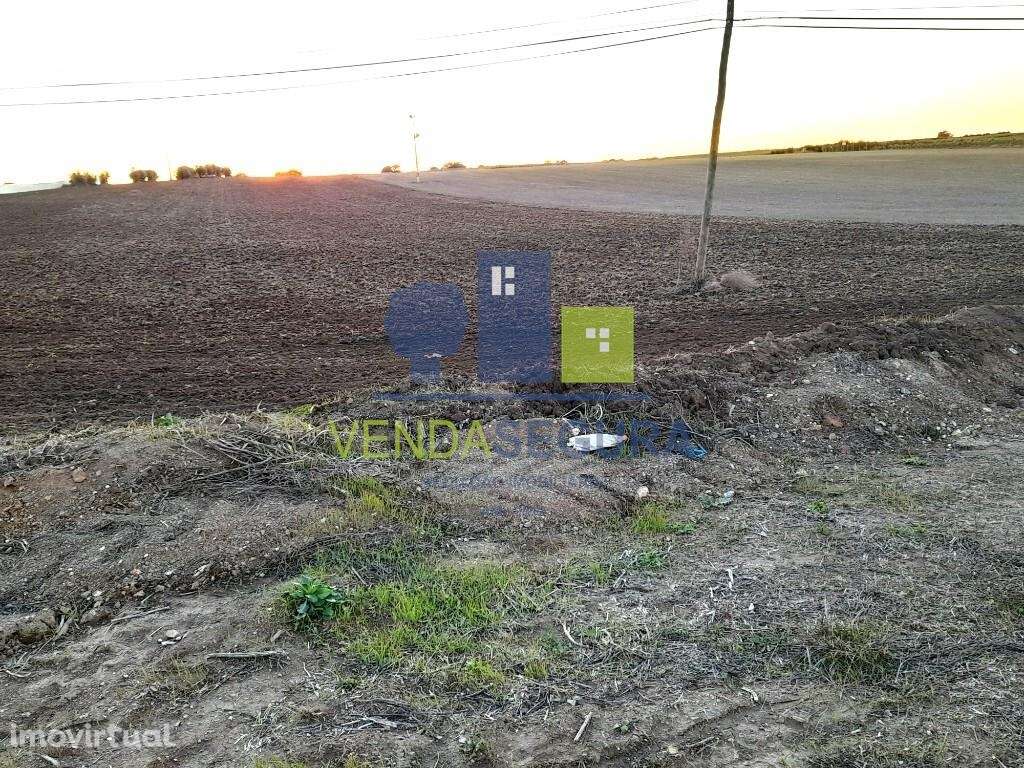 Terreno Rústico em Peroguarda com 2,8 ha | Potencial de Construção - Grande imagem: 5/7