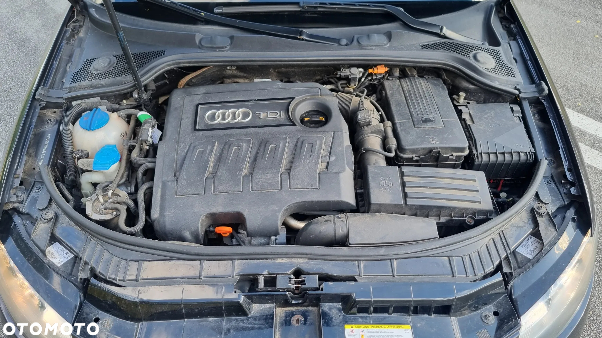 Audi A3 1.6 TDI DPF Attraction - 7