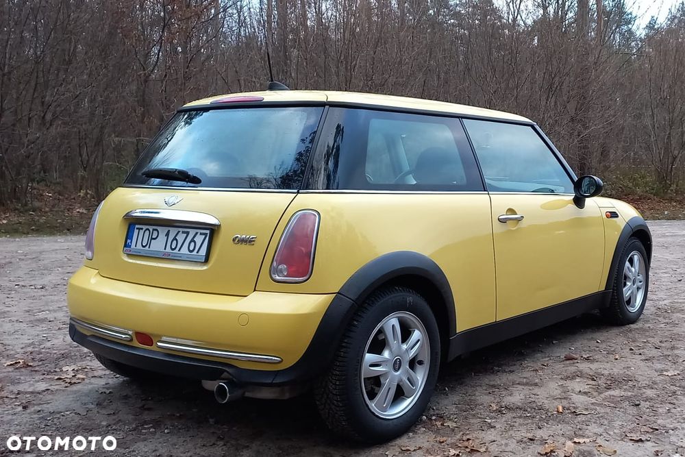MINI ONE salt - 3
