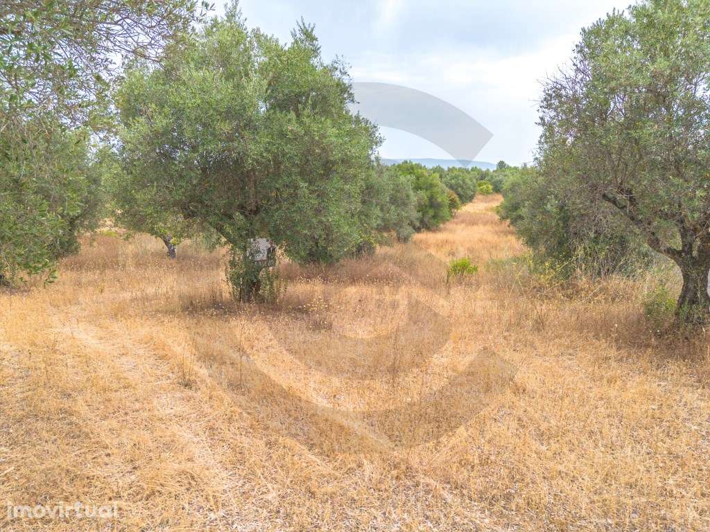 Terreno rústico - Grande imagem: 2/7