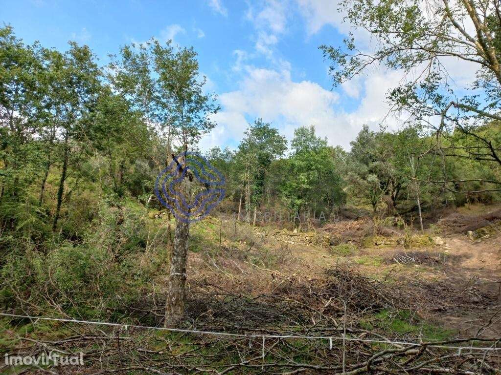 Terreno de 18.000 m2 em Chorense, Terras de Bouro - Braga - Grande imagem: 5/28