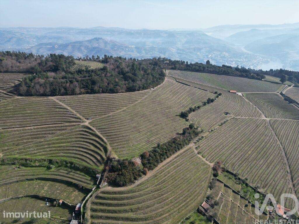Quinta em Mesão Frio (Santo André) de 300,00 m2 - Grande imagem: 4/30