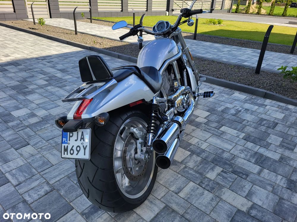 Harley-Davidson V-Rod Street Rod - 7