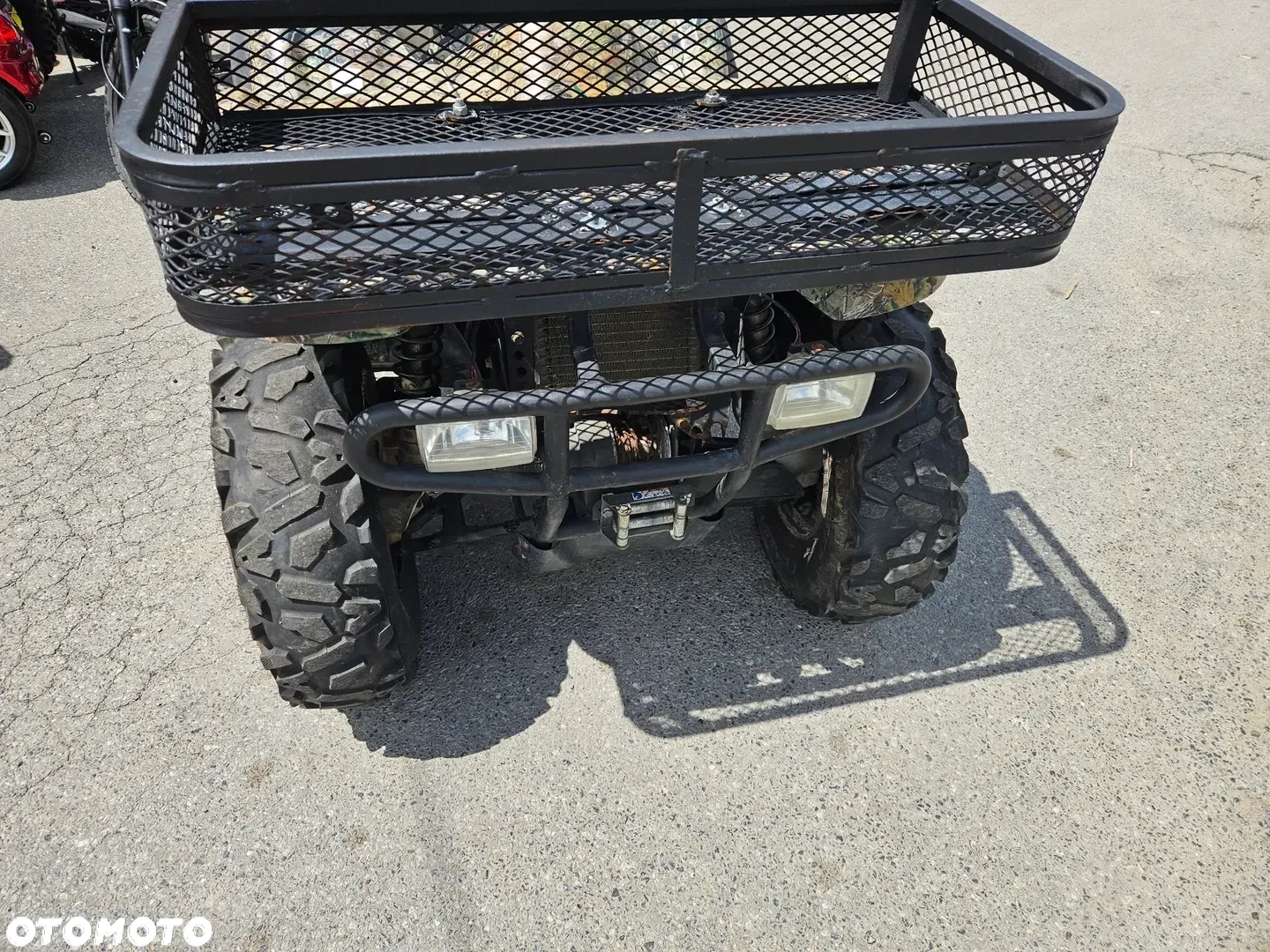 Kawasaki Brute Force - 19