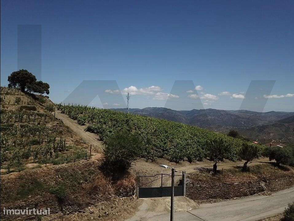 Venda Quinta/Herdade de 280m2,Para recuperar em São João da Pesqueira, - Grande imagem: 2/27