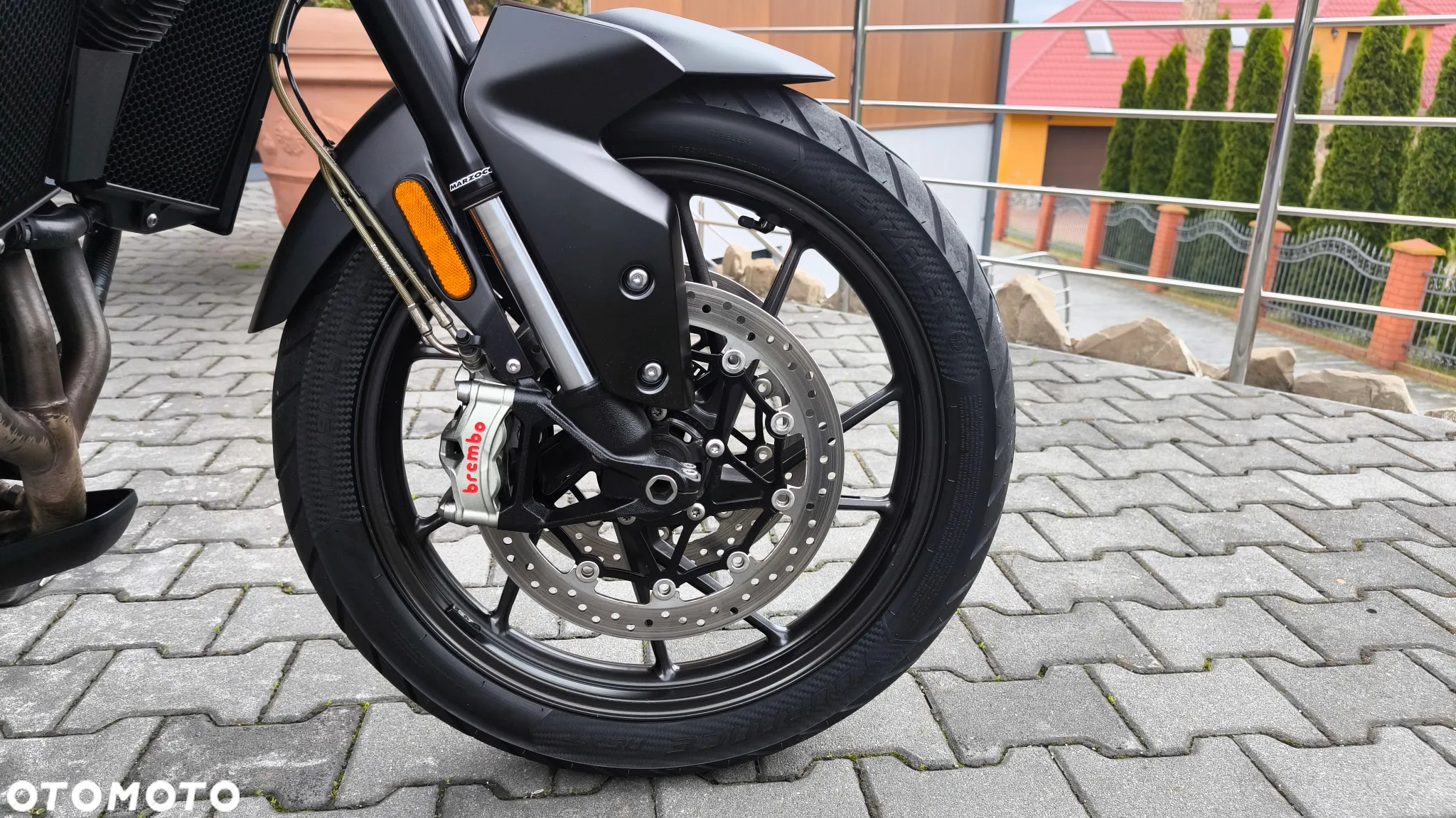 Triumph Tiger - 36