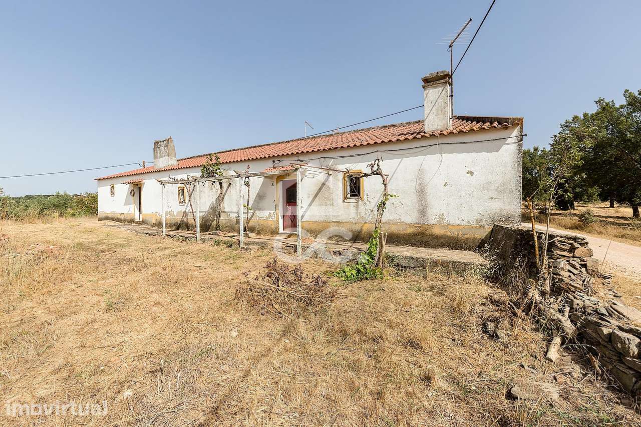 Quinta de 1,4 ha c/ 2 Moradias T1 | São Bento do Ameixial, Estremoz - Grande imagem: 3/60