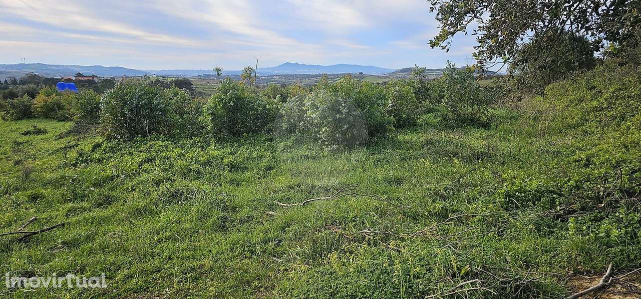 Terreno  para venda - Grande imagem: 4/11