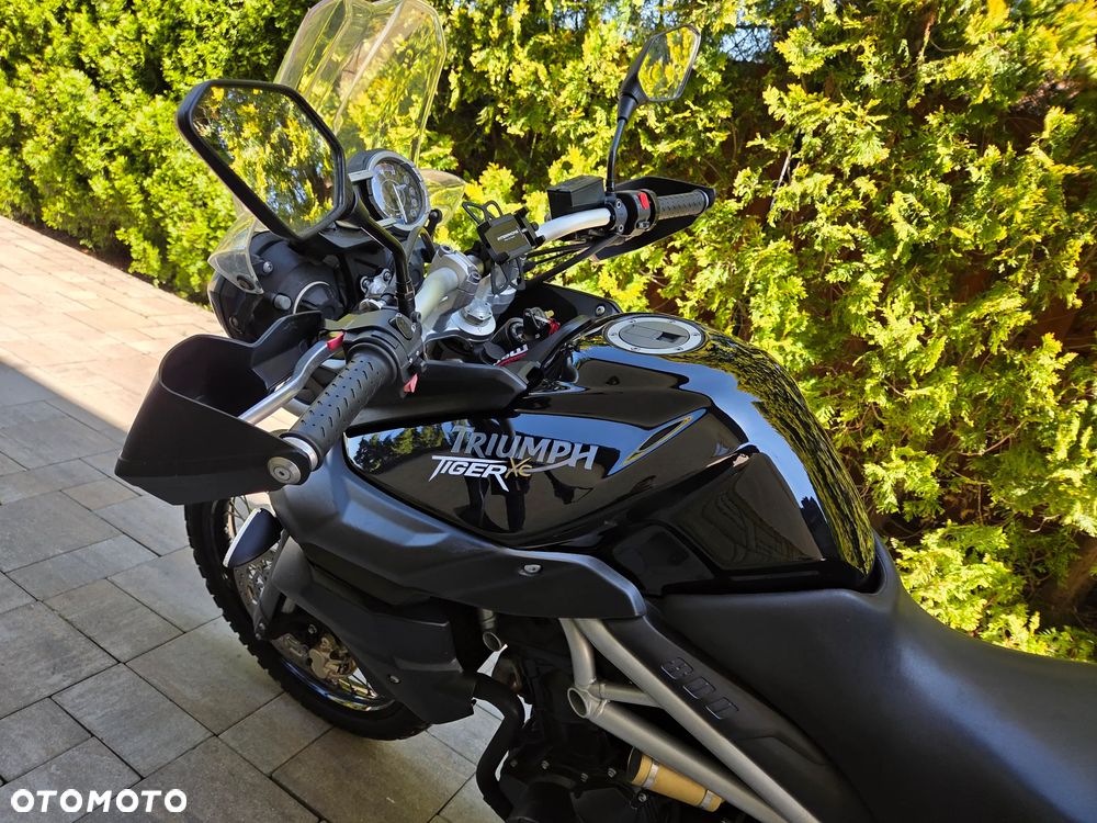Triumph Tiger - 9