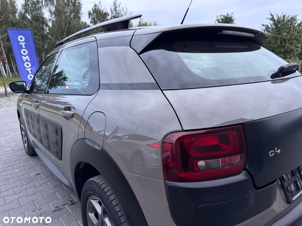 Citroën C4 Cactus PureTech 82 Shine Edition - 14