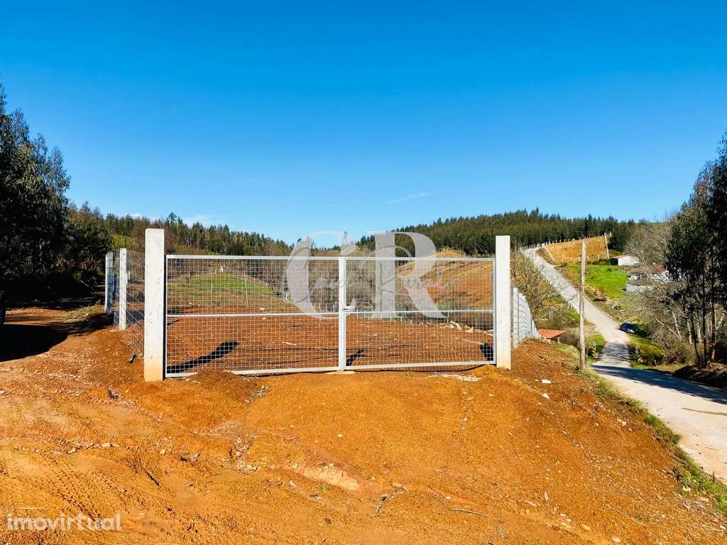 Terreno com 6 hect. vedado - Grande imagem: 3/27