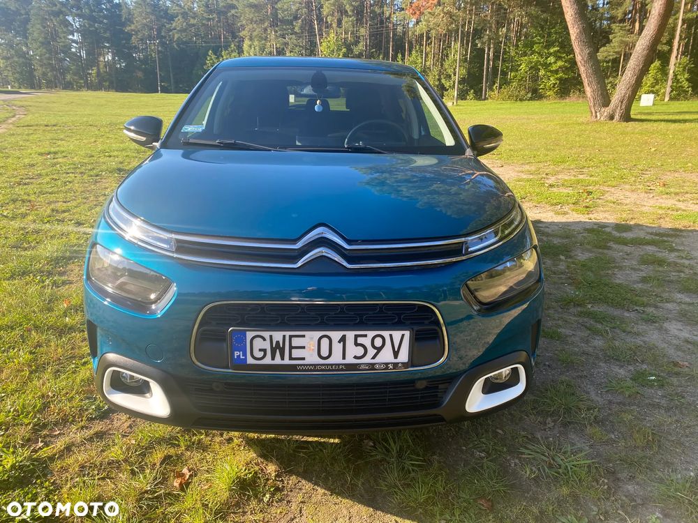 Citroën C4 Cactus 1.2 PureTech Shine S&S EAT6 - 7