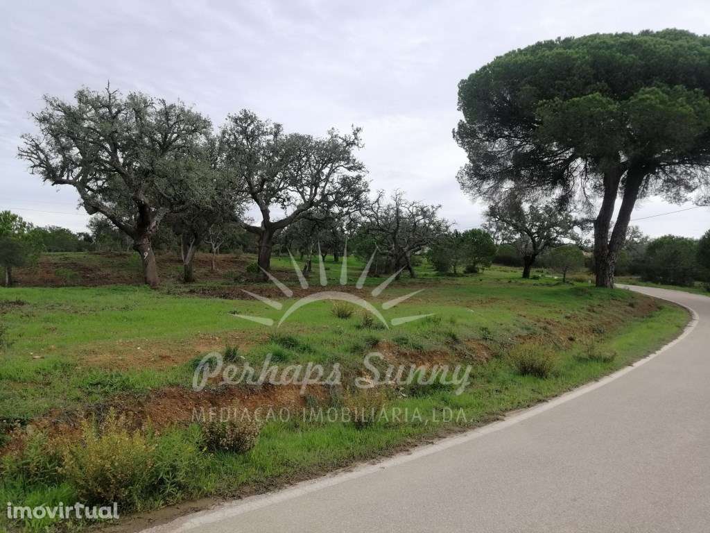 Terreno Rústico em Sobreiras Altas - Melides - Grande imagem: 2/11