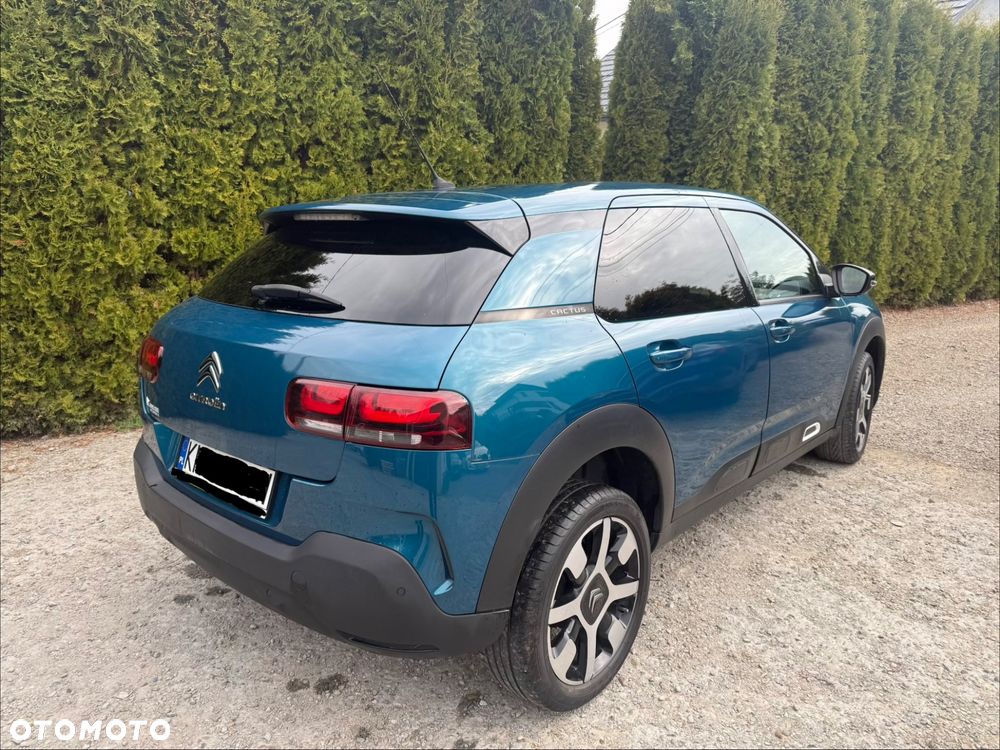 Citroën C4 Cactus PureTech 110 Stop&Start Origins - 18