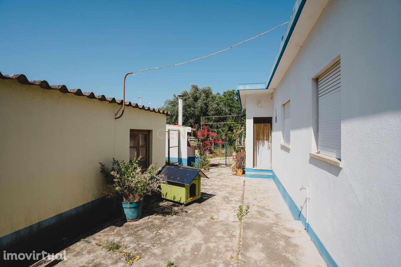 Quintinha para Venda - Perto de Alenquer - Grande imagem: 5/16