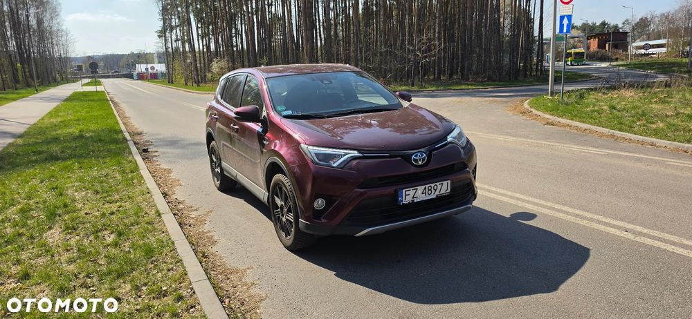 Toyota RAV4 Hybrid Premium 4x2 - 2