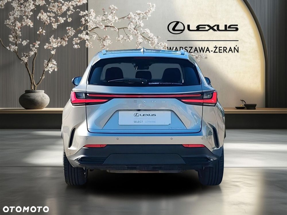 Lexus NX - 6