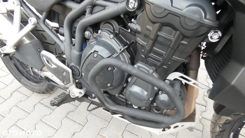 Triumph Tiger - 17