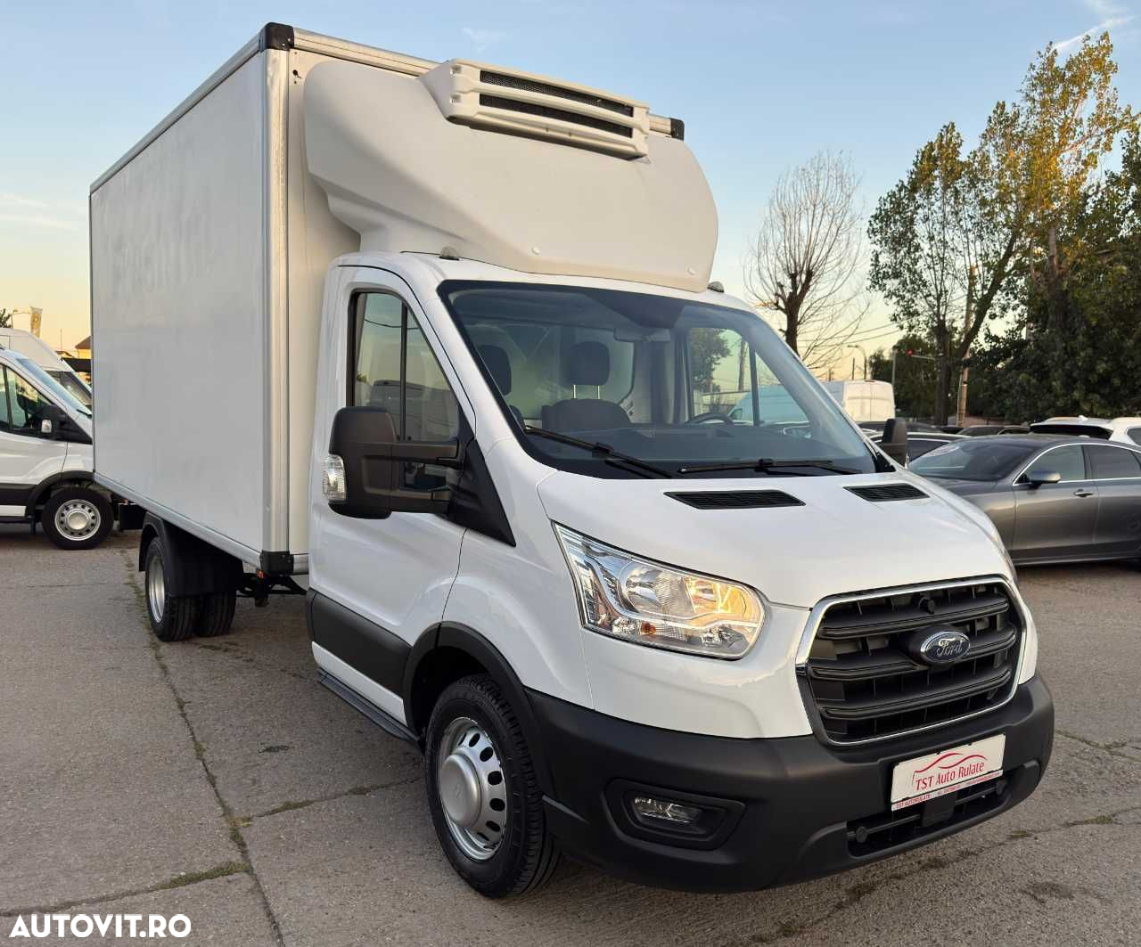 Ford TRANSIT CUB FRIGORIFIC - 12