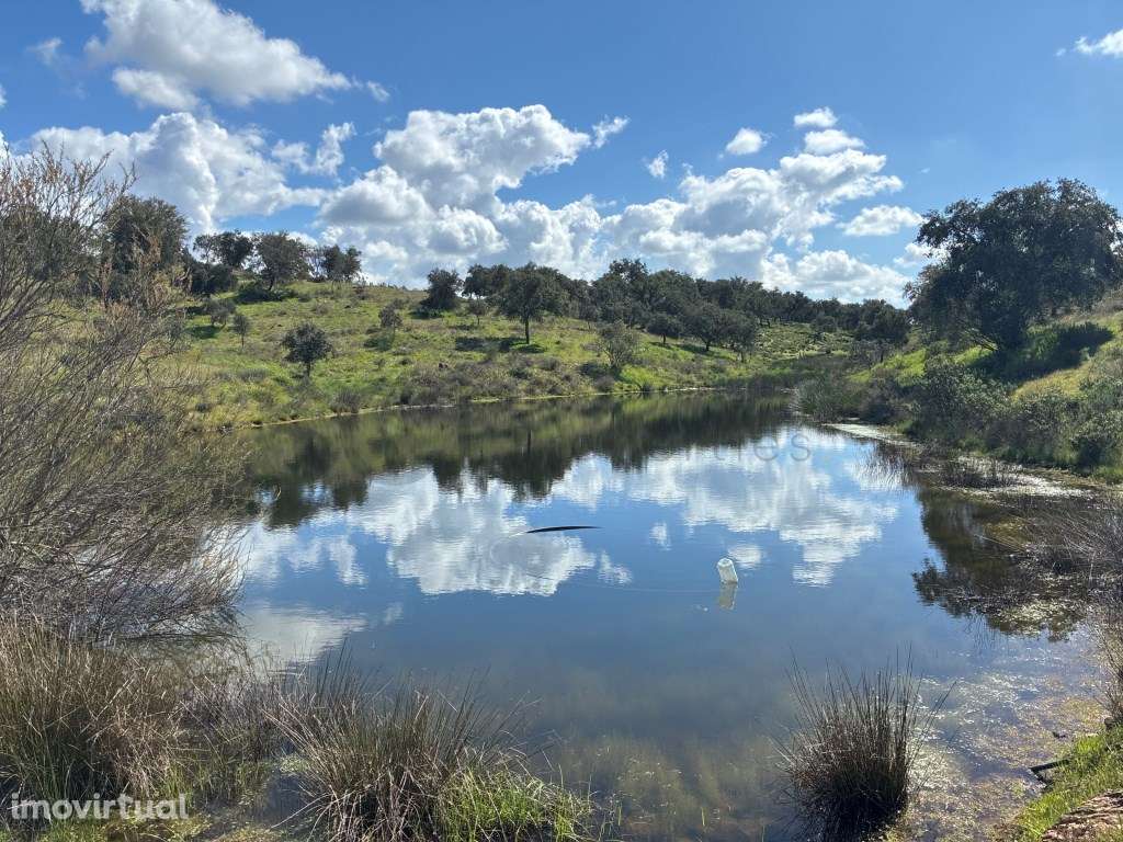Quinta T2 em Serpa | Vista para a barragem - Grande imagem: 2/56