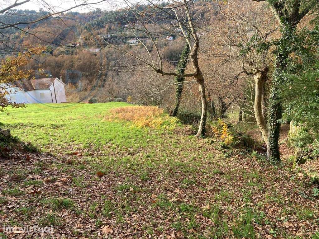 Ruína em Pedra com Vista Deslumbrante - Rio Douro, Cabeceiras de Basto - Grande imagem: 4/11
