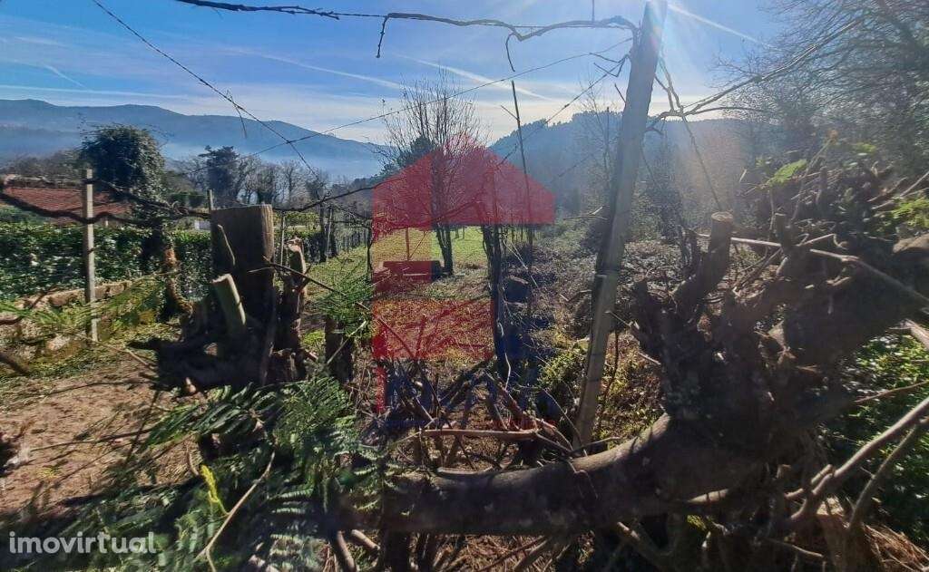 Terreno agrícola, Valões - Grande imagem: 2/11