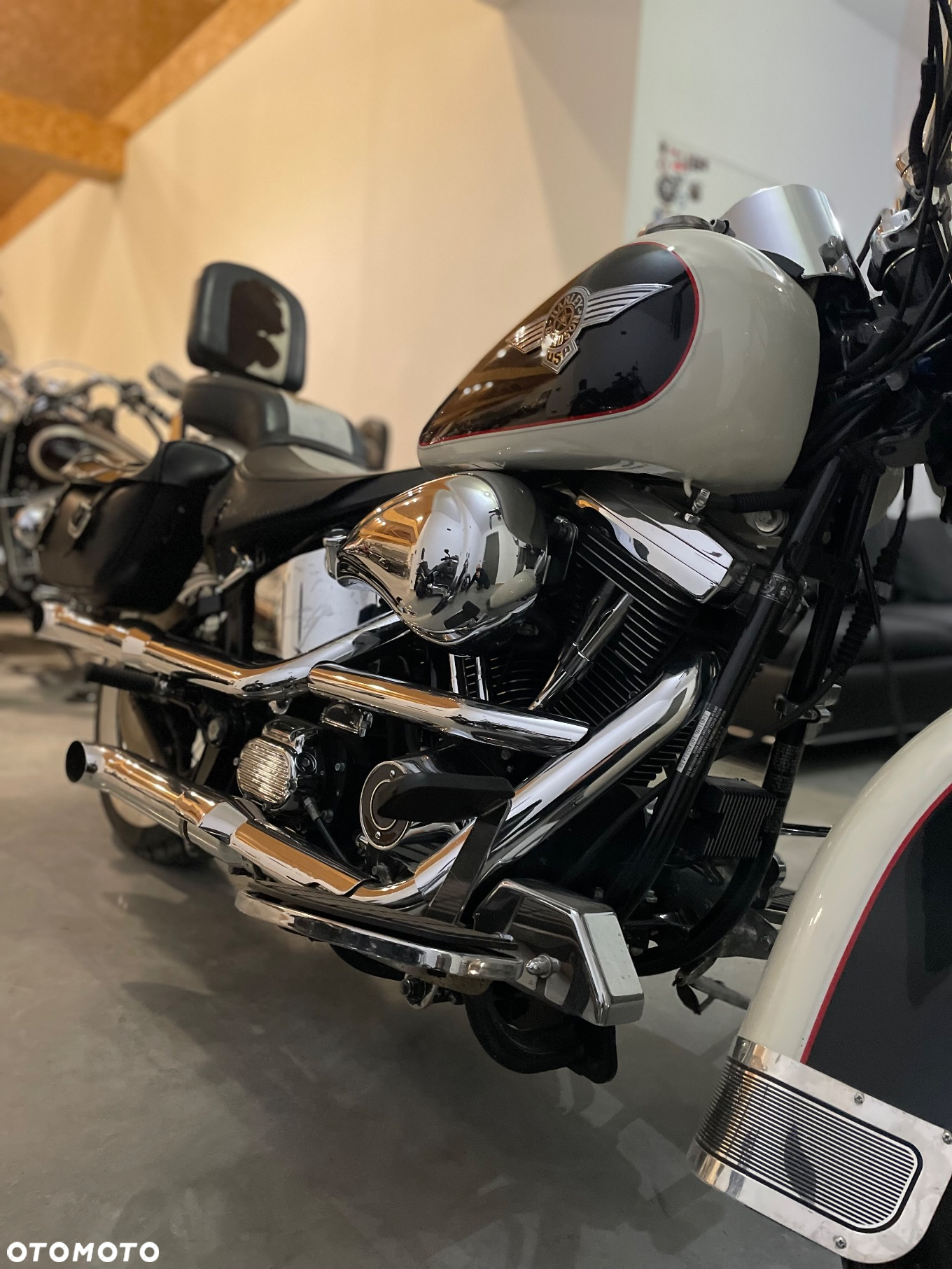 Harley-Davidson Softail - 2