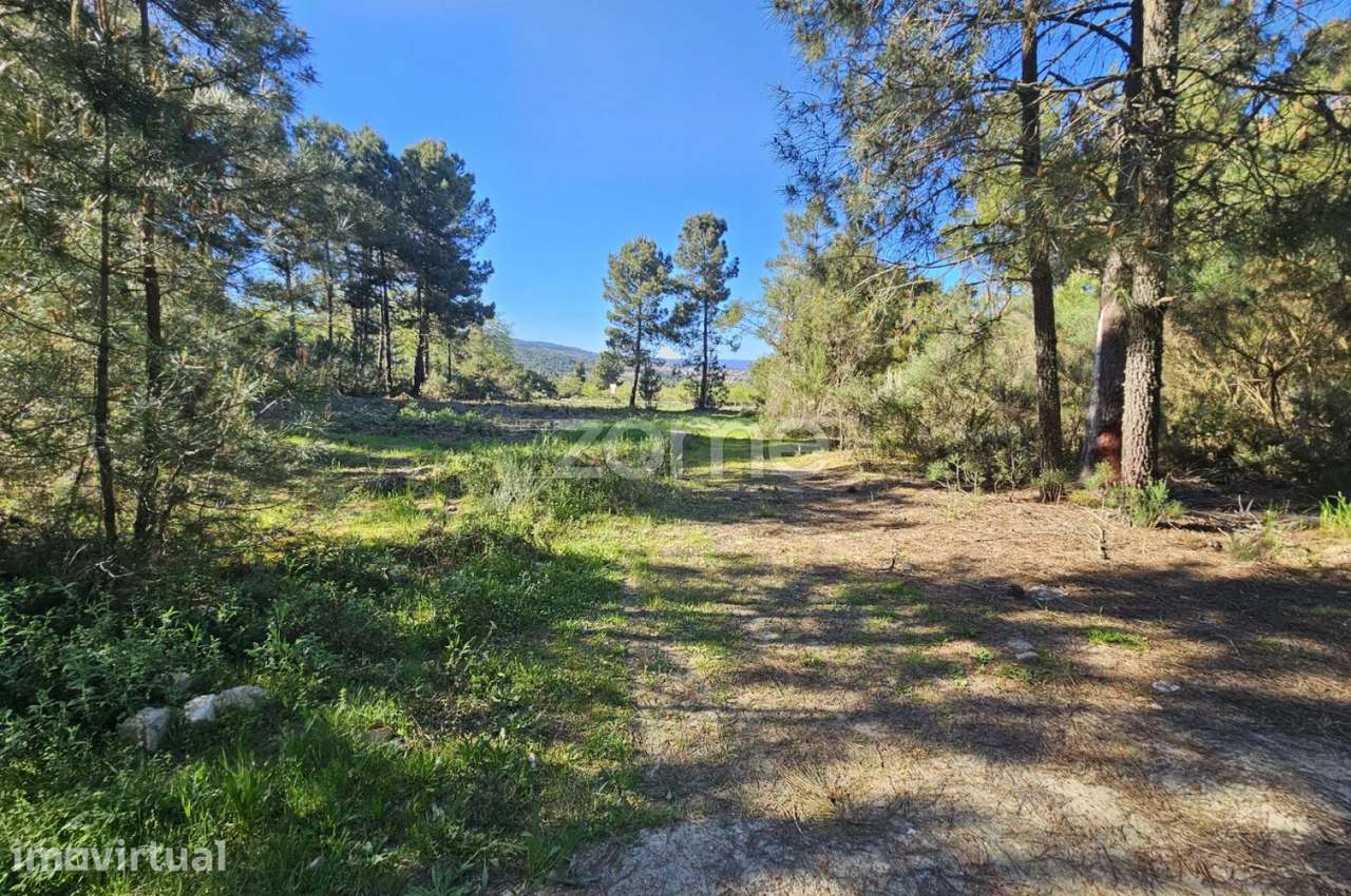 Terreno, 2 800 m², Fiolhoso - Grande imagem: 3/3