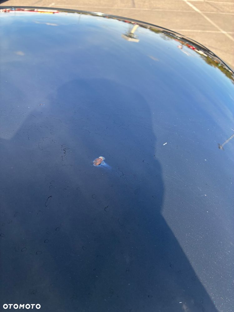 BMW Seria 3 318d DPF - 16