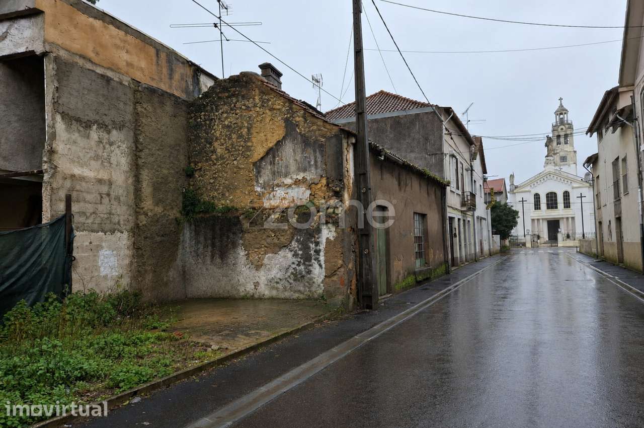 T2 em Mogofores - projeto aprovado - Grande imagem: 5/16