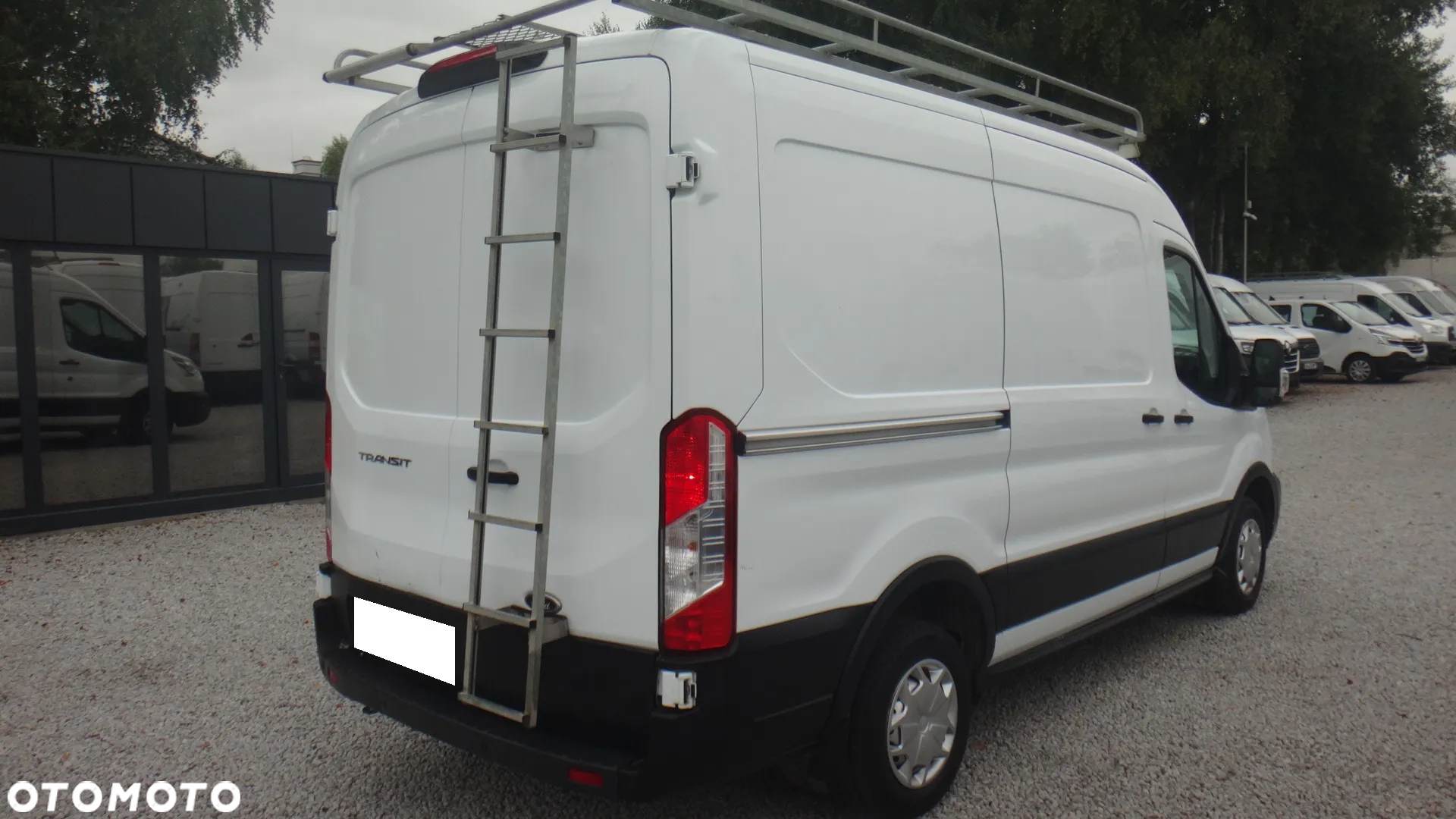 Ford TRANSIT - 6