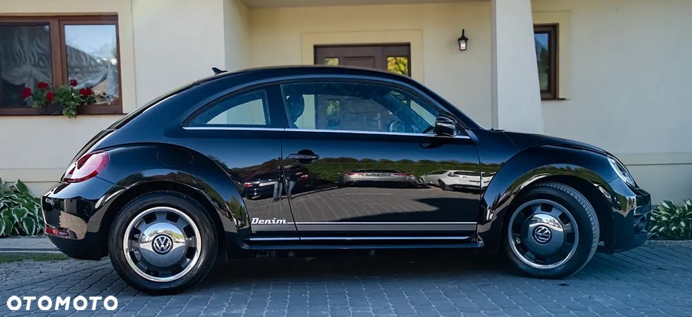 Volkswagen Beetle - 11