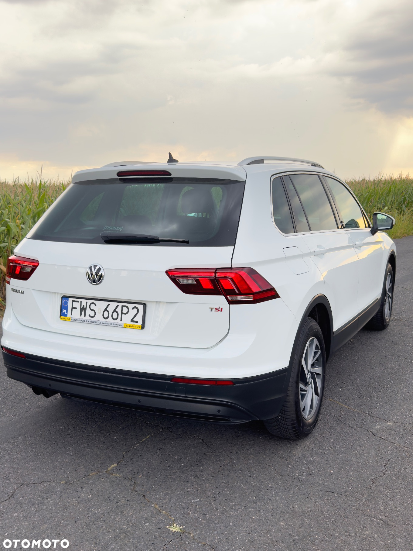 Volkswagen Tiguan 1.5 TSI OPF DSG - 5