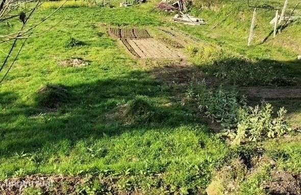 Terreno para cultivo de horta - Grande imagem: 2/4